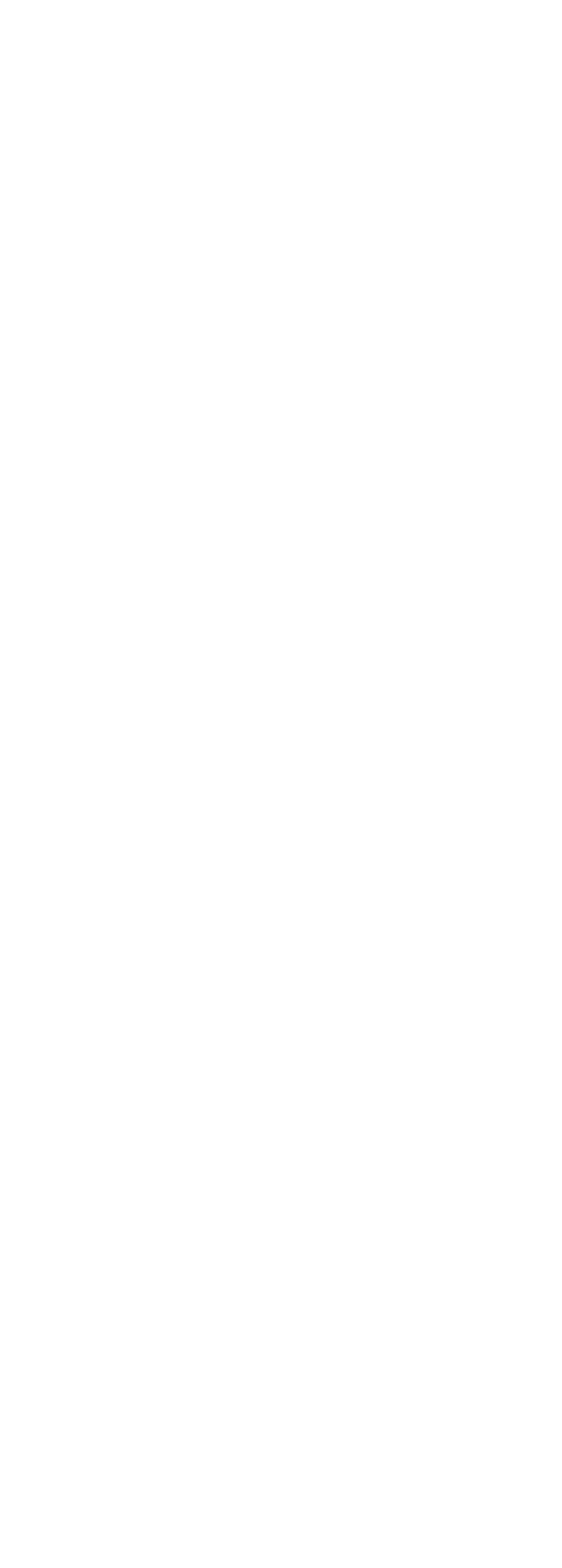 renovation-44